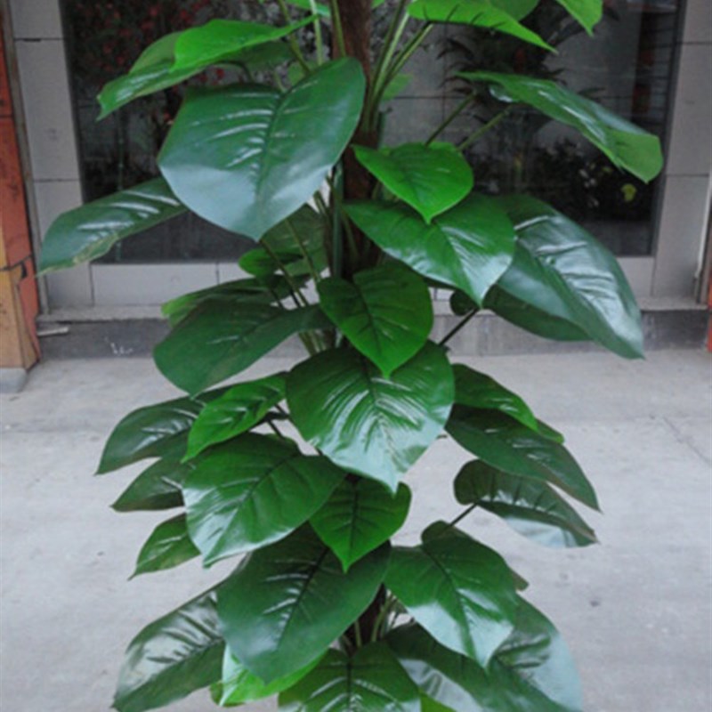 仿真植物滴水观音/绿萝落地客厅装饰塑料假花假树室内绿植物盆景