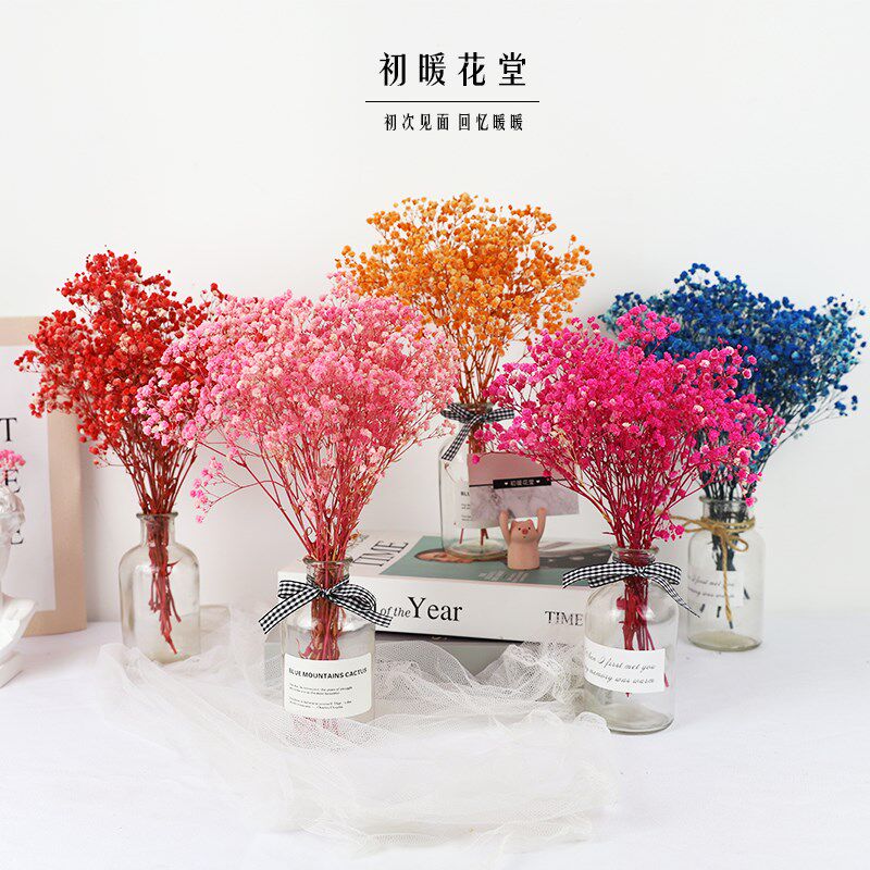 满天星干花永生花天然真花束手工diy材料高级感家居婚庆摆件装饰图片