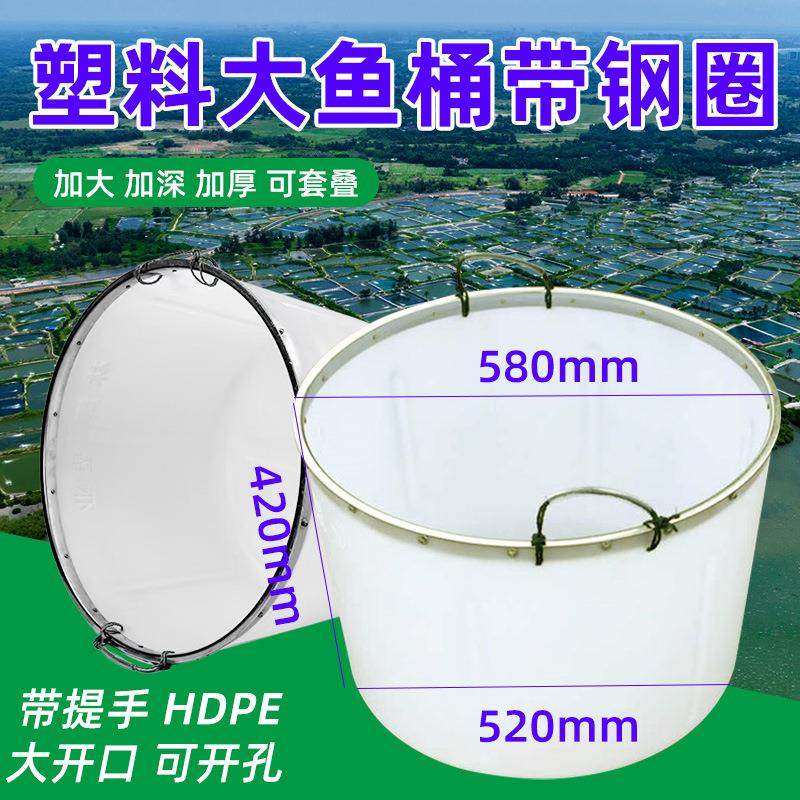 塑料大鱼桶带钢圈大开口家用储水桶牛筋料水产养殖白桶工厂,橡塑材料及制品,其他橡胶制品,淘宝优惠券,粉丝福利购,淘宝优惠卷