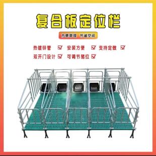 母猪限位栏落地式母猪定位栏带漏粪板镀锌猪场用畜牧养殖设备产床