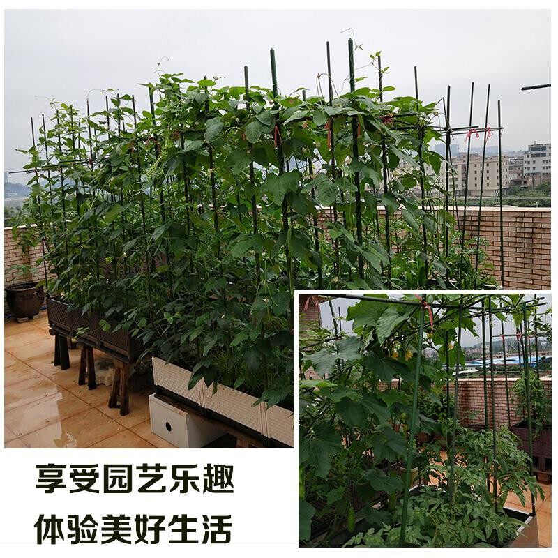 固定用品花支柱篱笆网菜园种菜绿植花盆花架支撑杆花园艺植物瓜藤