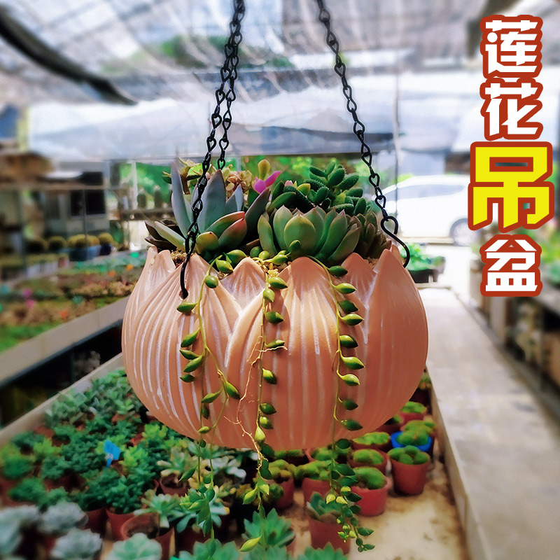 莲花形状红陶花盆陶瓷多肉植物吊盆庭院花园透气陶土陶罐摆件装饰