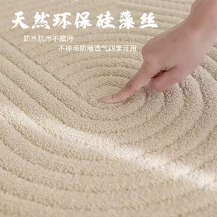 地毯客厅轻奢硅藻s丝奶油风家用无胶沙发茶几地垫