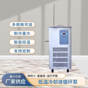 实验室低温恒温槽DLSB系列低温冷却液循环泵智能控温低温循环设备