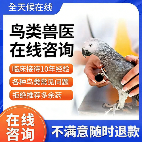 鹦鹉玄凤文鸟牡丹鸟类生病医生问诊专业经验在线咨询治疗指导用药