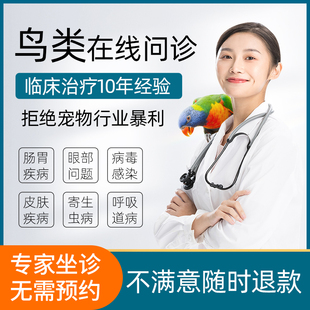 鹦鹉玄凤文鸟牡丹鸟类生病医生问诊专业经验在线咨询治疗指导用药