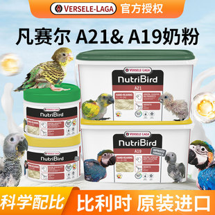 比利时凡赛尔a21手养奶粉粮食鹦鹉通用幼雏鸟高脂增肥专用低脂a19