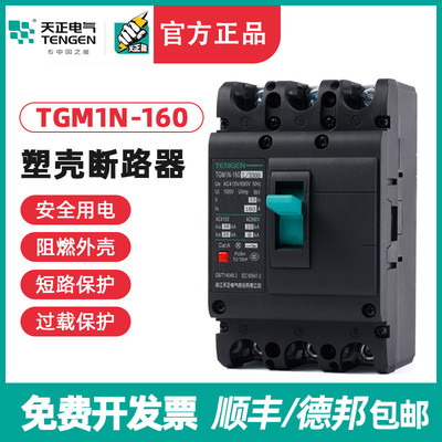 TENGEN天正电气 TGM1N-160L/3300 160A塑壳断路器空气开关3P 380V