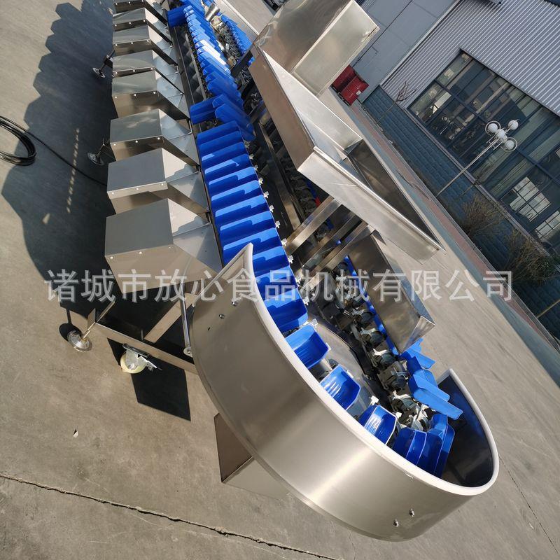 称重分选机重量选重机多料盒重分选HGC机称大闸蟹牡分蛎海参称分