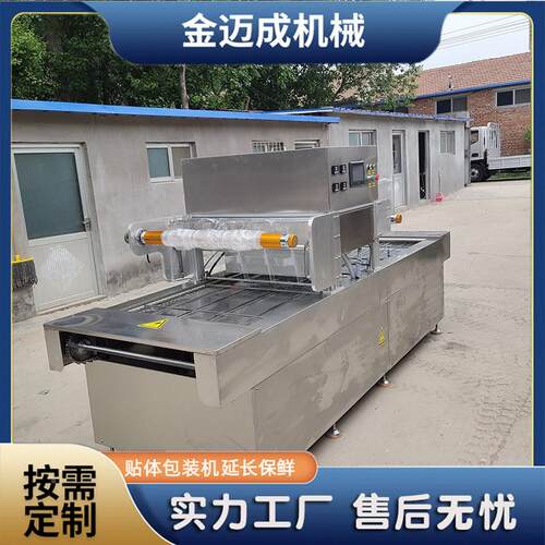 全体自动连续贴体口包装机162生鱼海鲜贴片包装机肉制品连续封机