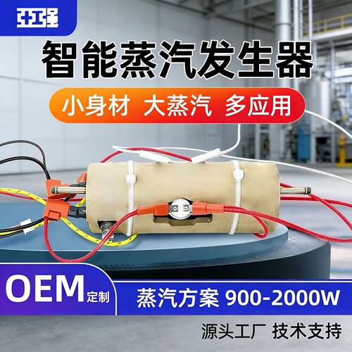 电加热蒸汽发生器高温发热体 商用高压清洗即热式设备高压清洗机