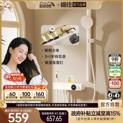 浪鲸精铜简易淋浴花洒套装