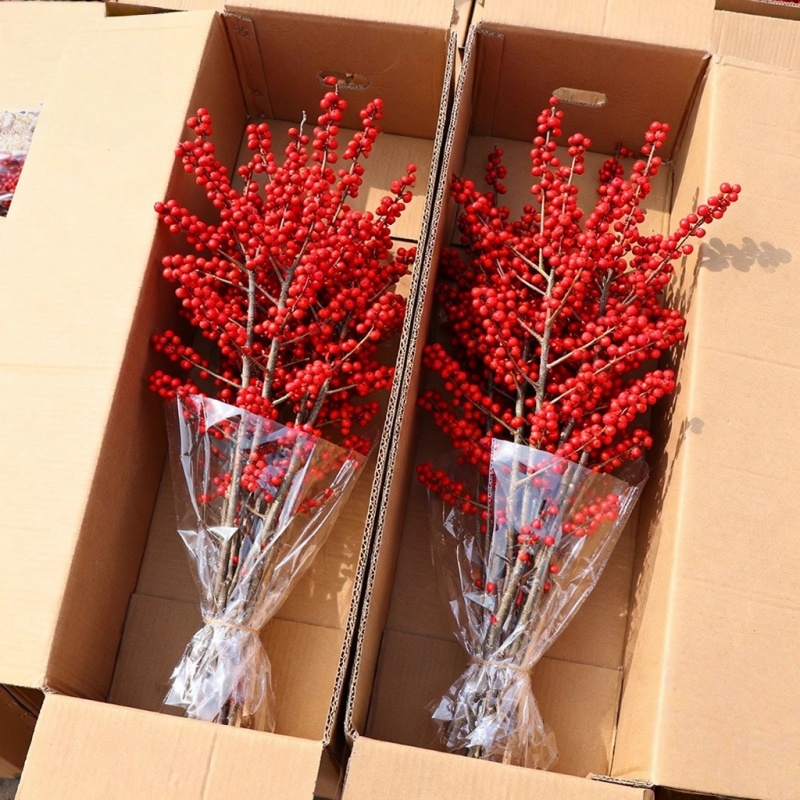 进口北美冬青红果鲜花切枝水培