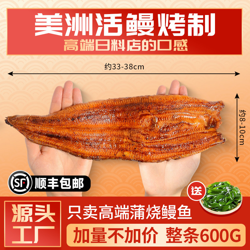 鳗太郎蒲烧鳗鱼饭出口级照烧烤活鳗鱼蒲式专用材料理加热即食日料