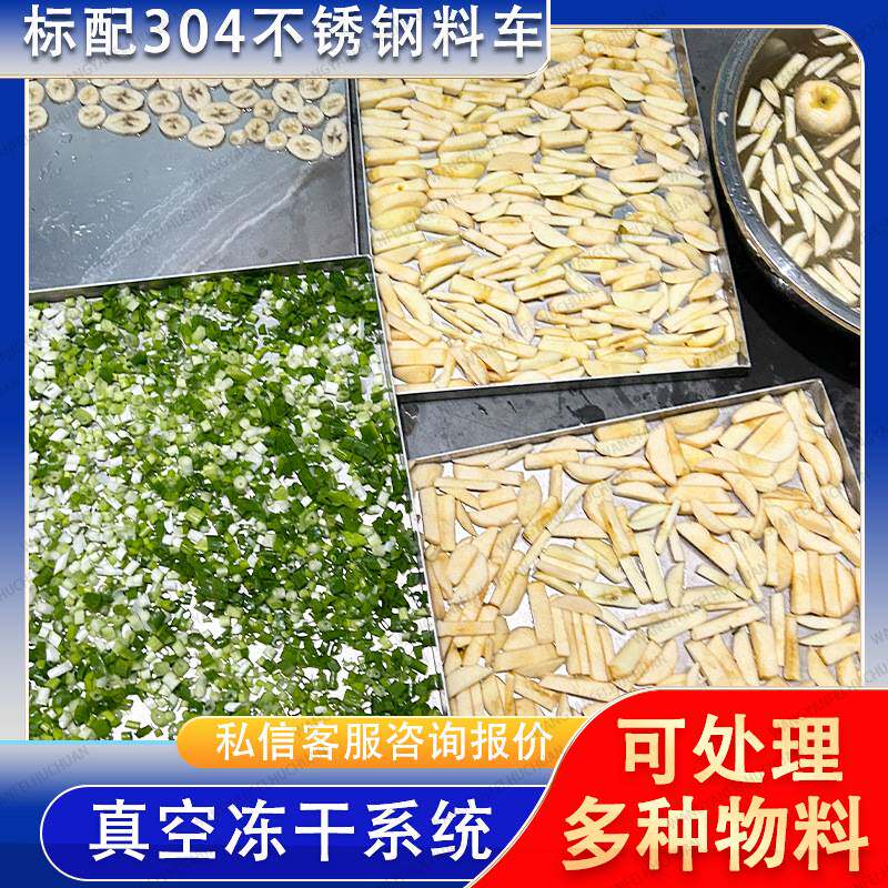 猕猴桃冻干机果蔬通用 花椒冻干设备 调料真空冷冻干燥机适用多种