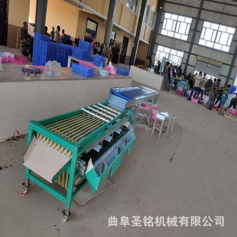 商用核桃黄皮果选果机 轨道式红枣小灰枣分选机 家用李子选果机