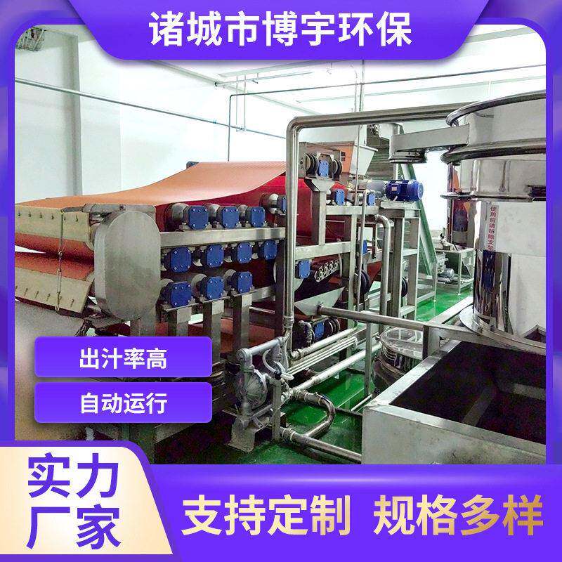 博宇水果汁生产线厂家 工业级果汁机榨汁设备 葡萄汁压榨生产线
