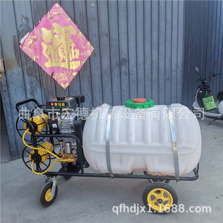 手推汽油多功能喷药机 汽油消毒打药机 苗圃农田喷雾器价格