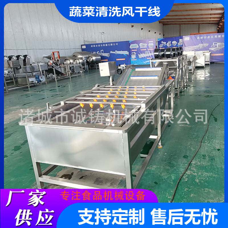 商用果蔬气泡清洗机油麦菜去杂清洗风干设备小白菜鼓泡翻浪清洗机