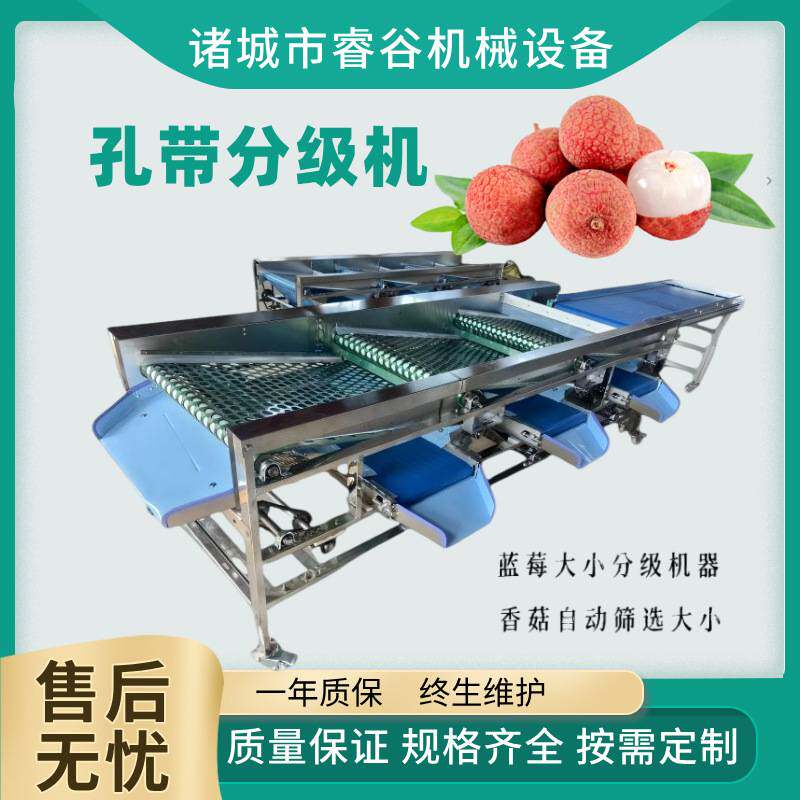 皮带打孔式直径分选机全自动蔬菜水果分选设备荔枝分拣机
