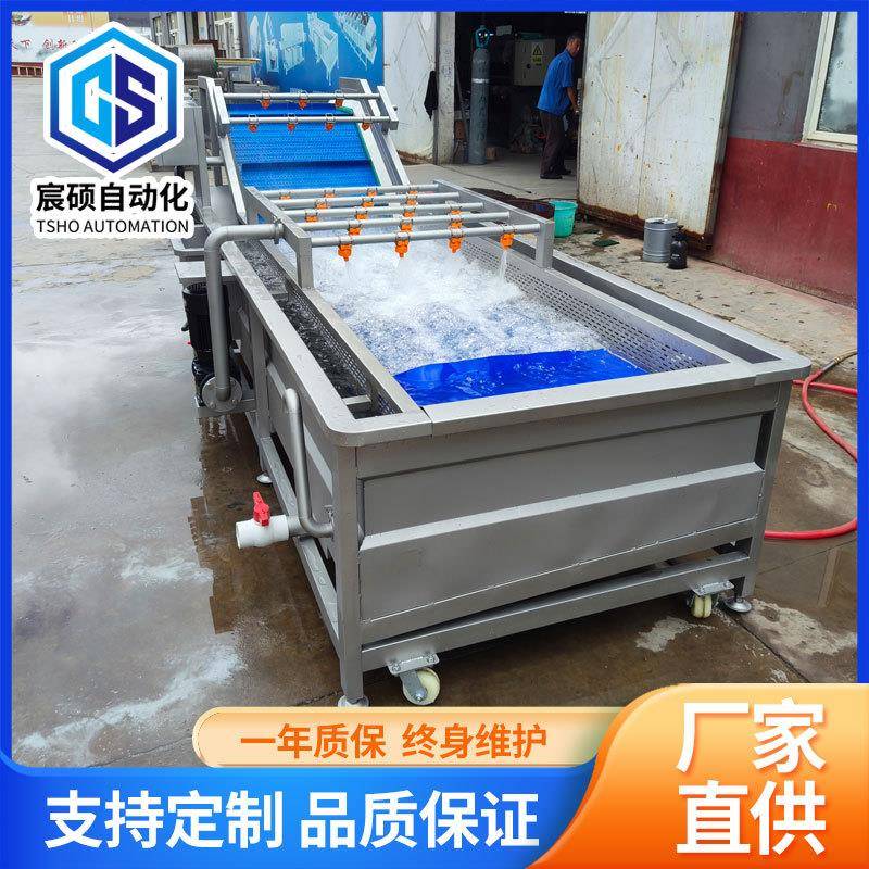 全自动气泡水果清洗机山楂苹果清洗设备瓜果葡萄桃子洗果机