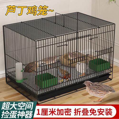 芦丁鸡专用养殖笼子家用加密大号芦丁鸡铁丝笼小鸡小鸭子鹌鹑鸟笼