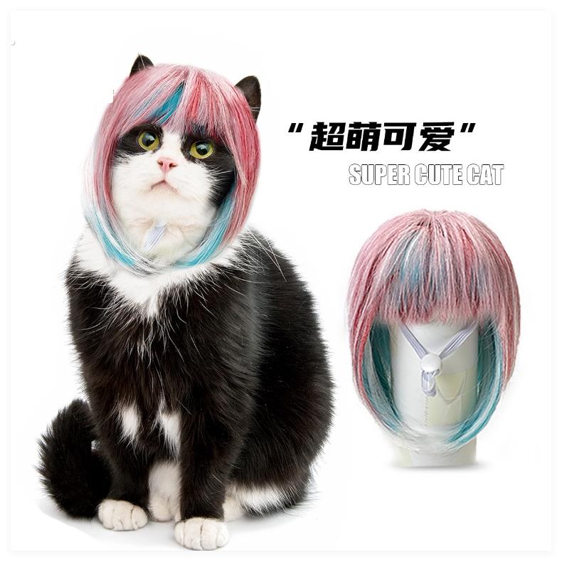 新款宠物假发猫狗通用炫彩浏海长直发蓝粉万圣节可爱猫咪搞怪造型
