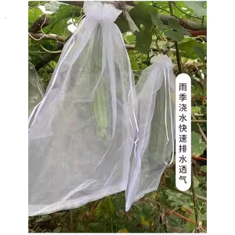 青瓜袋加密纱网袋黄瓜防虫套袋苦瓜丝瓜黄瓜果防鸟器罩透气束口袋