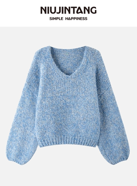 【NJT】2025秋冬季韩系时尚休闲百搭V领毛绒软糯保暖毛衣HSD2531