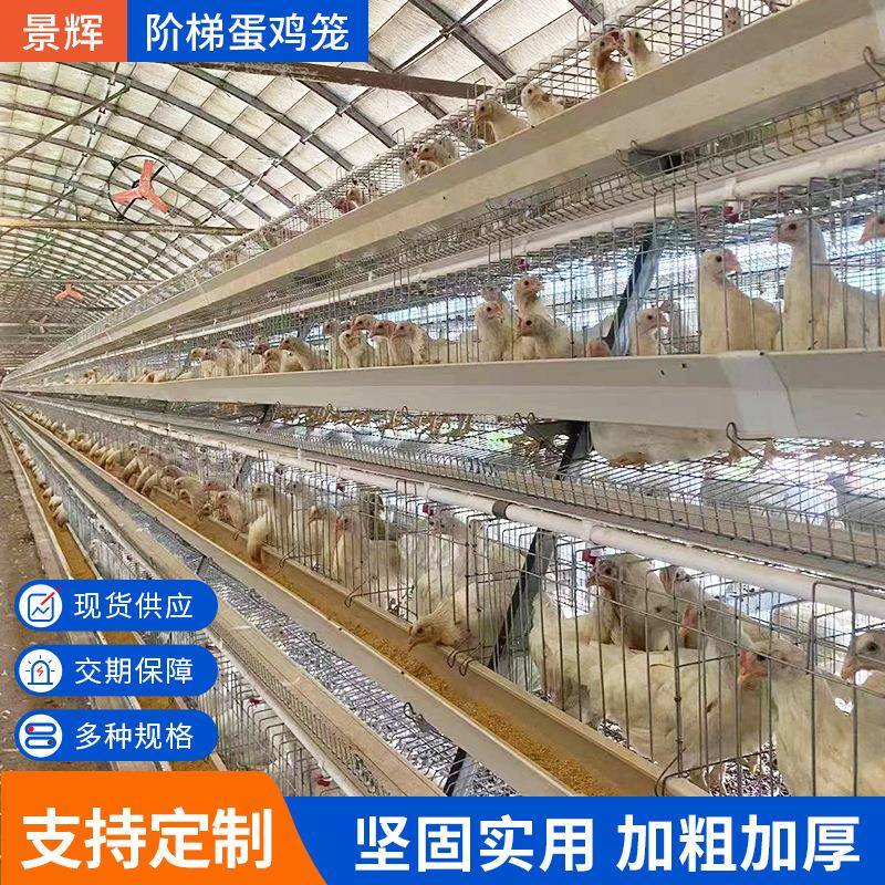 生产全自动肉鸡笼层叠式框架肉鸡笼养殖设备常年出口现货