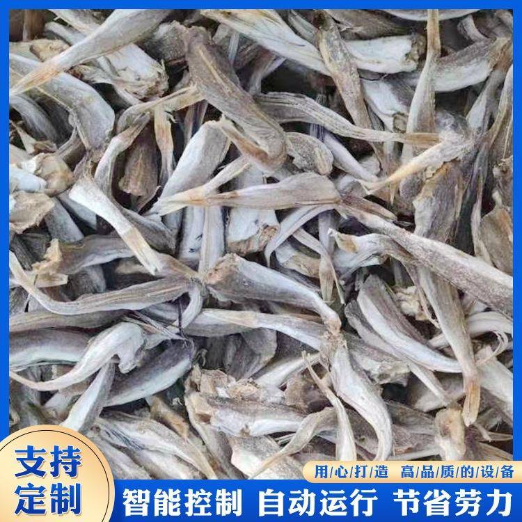 小鱼网带式烘干机虾皮全自动烘干设备电加热隧道式烘干流水线