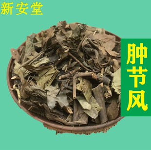 肿节风 天然中药材500g包邮 接骨莲 九爪龙 草珊瑚 九节茶 九节风
