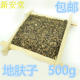 地葵 地麦 千头子 500g 帚菜子 竹帚子 包邮 落帚子 地肤子 益明