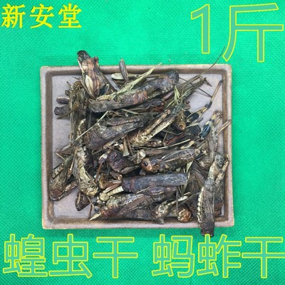 蚂蚱中药材 鸟食 蝗虫干 蚂蚱干 另有蟋蟀干 土鳖虫干 500克包邮