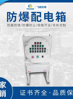 IIC防爆配电箱不锈钢防爆配电箱防爆照明动力箱防爆检修箱