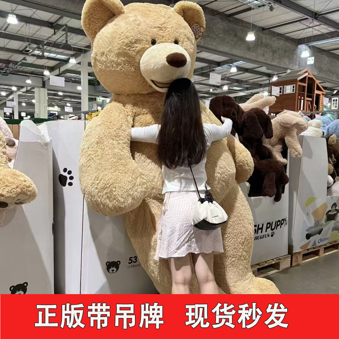正版costco美国大熊公仔