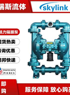 SKYLINK气动隔膜泵LS40CS-AA-SP-PP-SP-O0耐腐蚀溶剂运输泵
