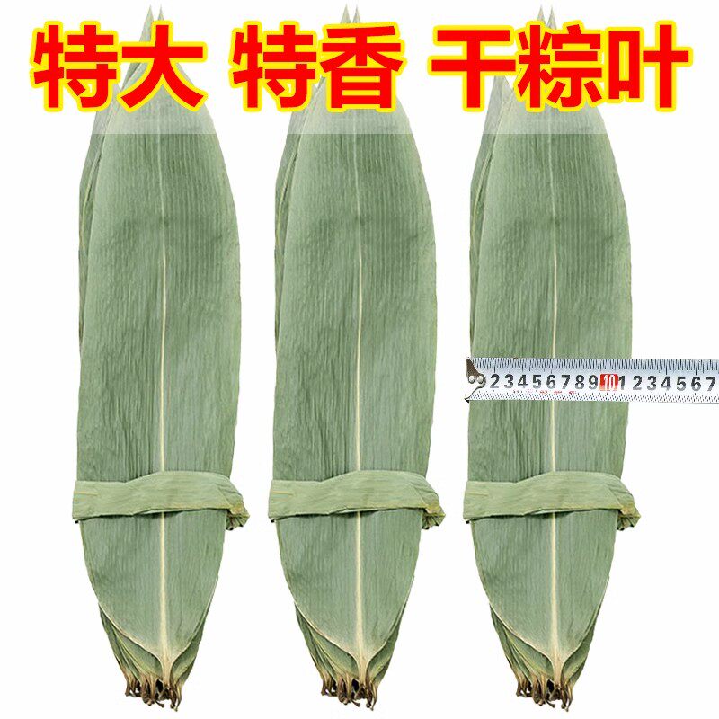 粽子叶50片棕叶新鲜大号新叶包粽子专用叶子端午节商用批发干粽叶
