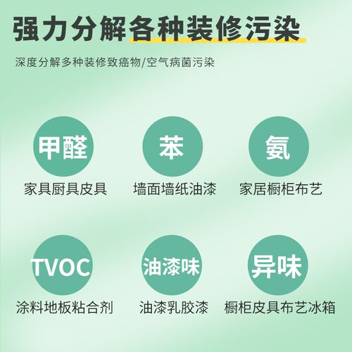 家用氧机除甲醛异味负离活氧空气净化发生器除