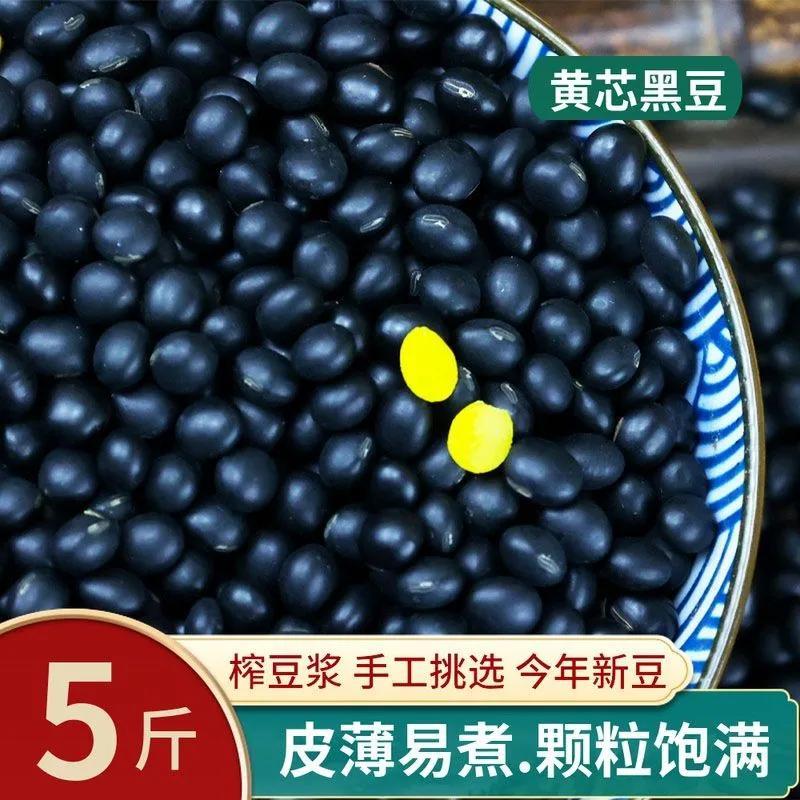 黄芯黑豆新货农家老品种黄心小黑豆乌豆发豆芽豆浆豆子非转基因