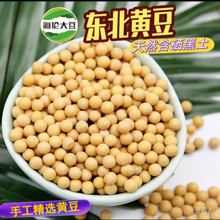 东北黄豆黑龙江农家自种老品种非转基因黄豆新货五谷杂粮打豆浆
