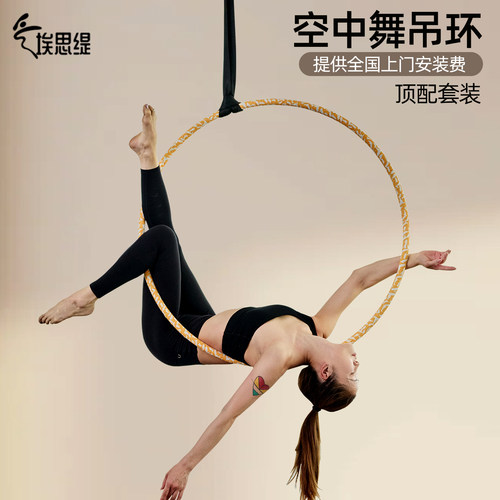 埃思缇空中吊环加整套专业配件