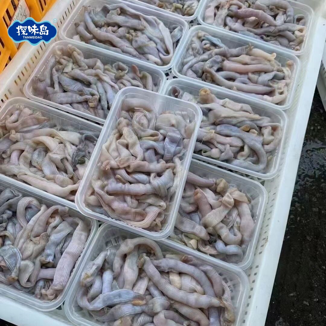 探味岛【顺丰包邮】福建东山岛沙虫新鲜活冻沙蚕去肚去沙海肠沙虫