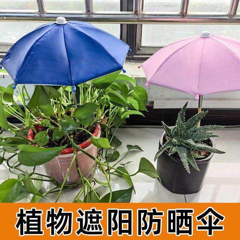 植物遮阳伞盆景盆栽庭院遮阳伞防雨伞户外玻纤地插迷你植物盆栽伞