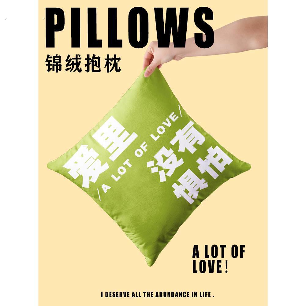 趣味文字梗抱枕靠枕车载方形靠垫枕头客厅沙发办公室创意护腰靠背