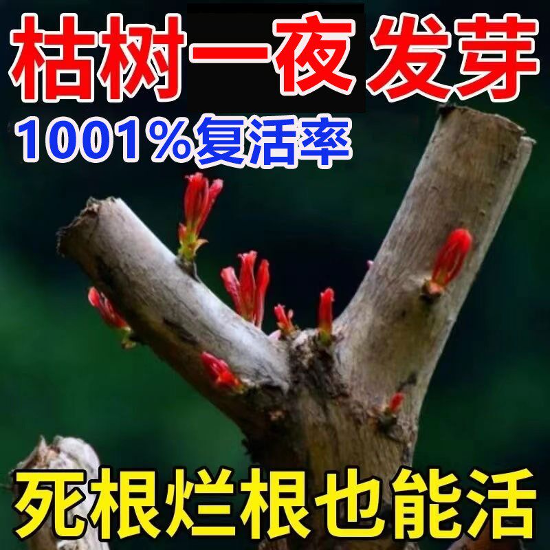 植物生根药复活液枯树树再生成活营养液苗移栽生根发芽剂