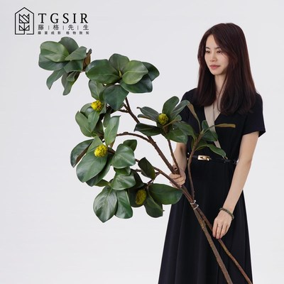 超大枝落地仿真白碗花玉兰叶枝绿植客厅高档逼真假花插花装饰花卉