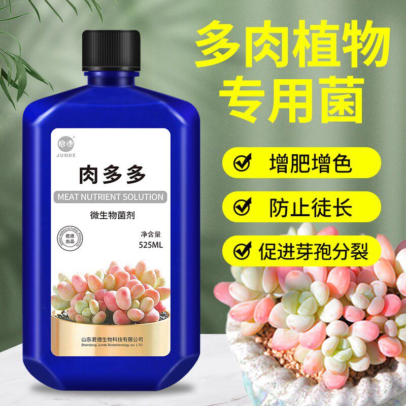 多肉营养液肥花肥肉肉植物浓缩盆栽溶通用增色生根