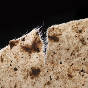 安徽手工古法粗麻纸桑皮土纸四尺半生半熟毛笔字书法国画宣纸书法