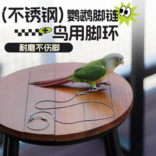 鹦鹉不锈钢脚链脚环不伤脚虎皮玄凤小太阳专用外出牵引绳遛鸟神器